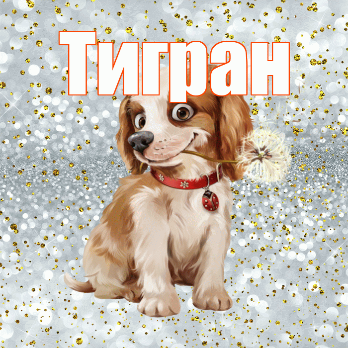 Тигран! С добрым утром! Красивая открытка Тиграну!