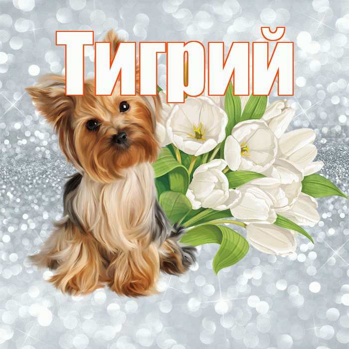 Тигрий! С добрым утром! Красивая открытка Тигрии!
