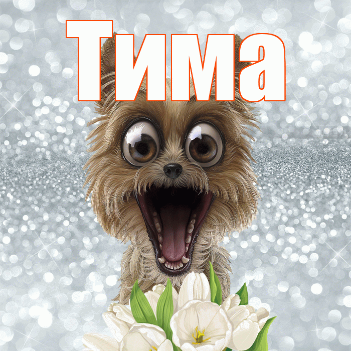 Тима! С добрым утром! Красивая открытка Тиму!