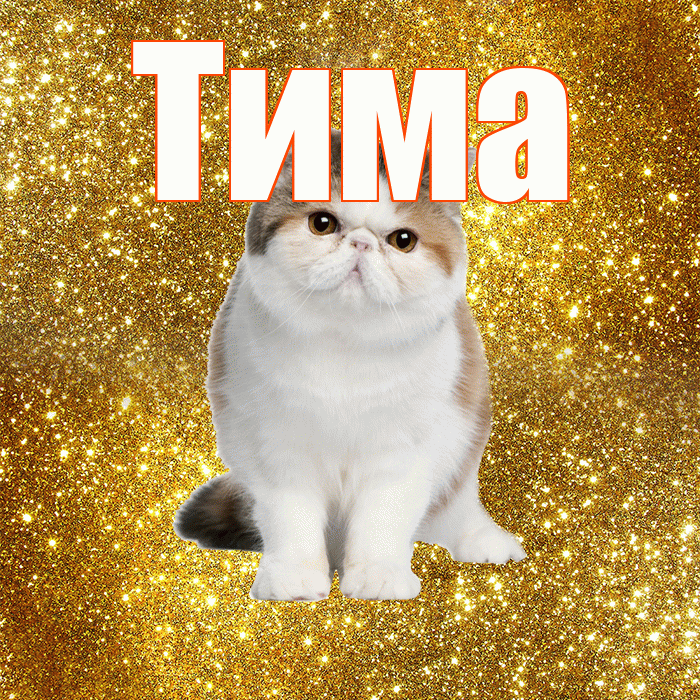 Тима! С добрым утром! Красивая открытка Тиму!