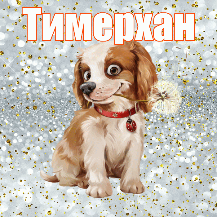 Тимерхан! С добрым утром! Красивая открытка Тимерхану!