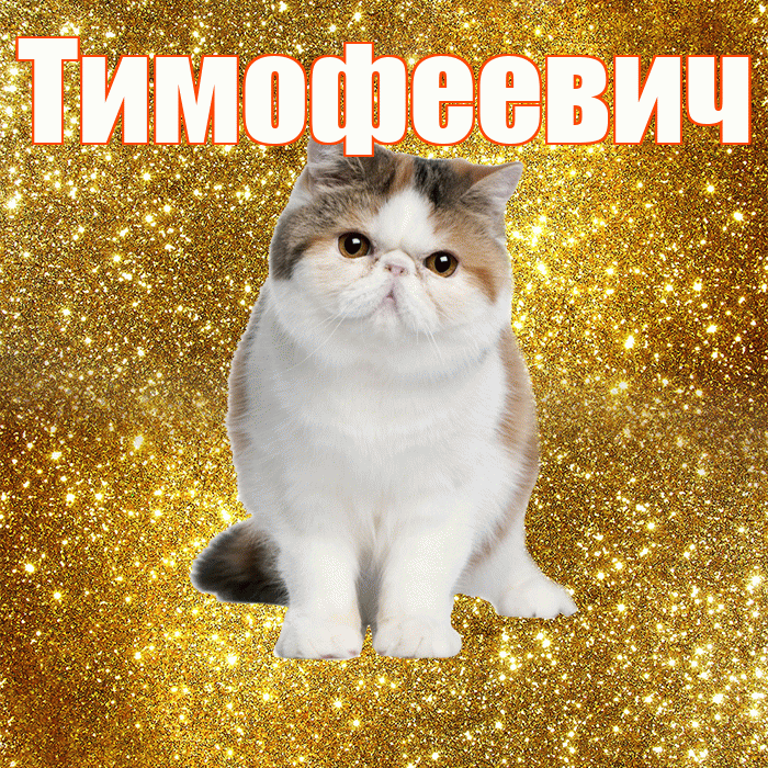 Тимофеевич! С добрым утром! Красивая открытка Тимофеевичу!