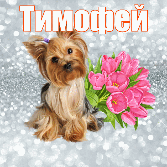 Тимофей! С добрым утром! Красивая открытка Тимофею!
