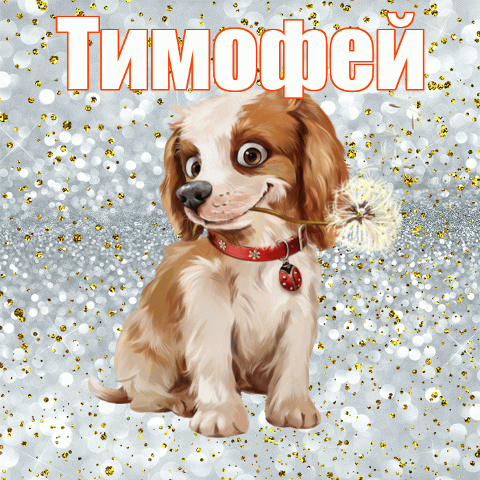 Тимофей! С добрым утром! Красивая открытка Тимофею!