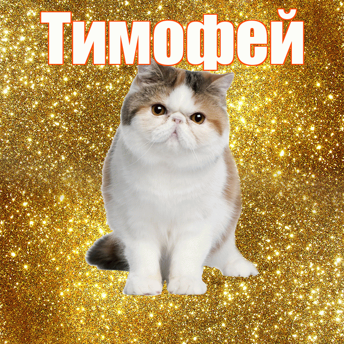 Тимофей! С добрым утром! Красивая открытка Тимофею!