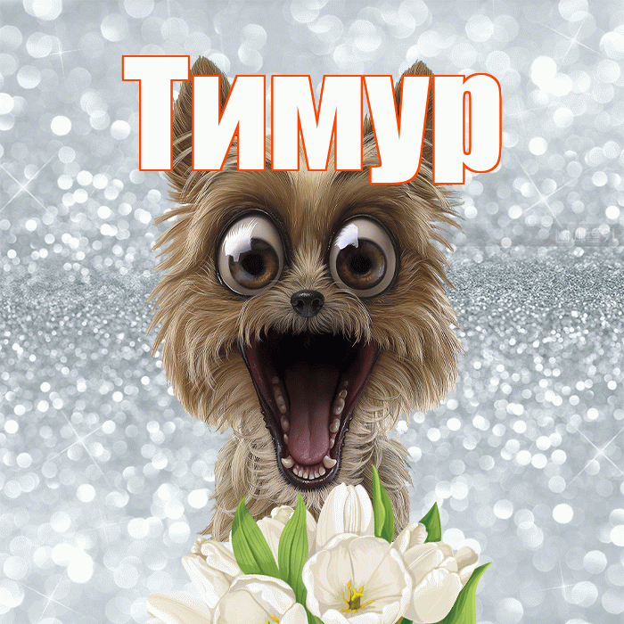 Тимур! С добрым утром! Красивая открытка Тимуру!
