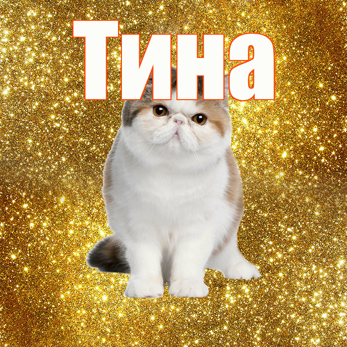 Тина! С добрым утром! Красивая открытка Тине!