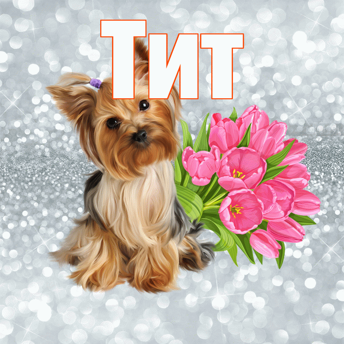 Тит! С добрым утром! Красивая открытка Титу!