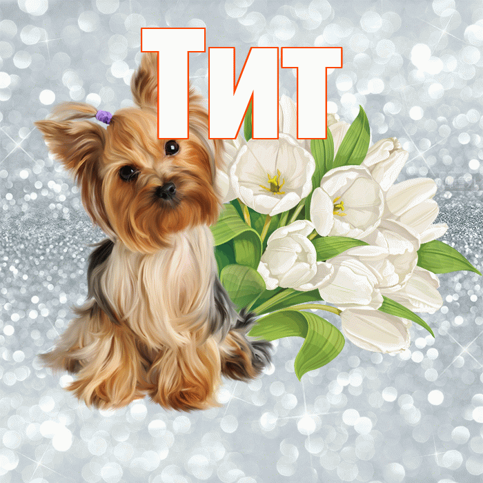 Тит! С добрым утром! Красивая открытка Титу!