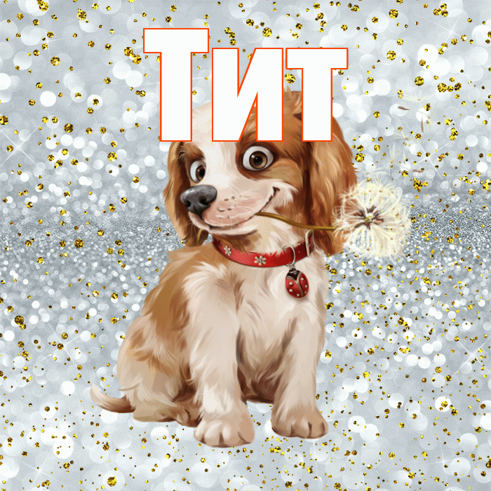 Тит! С добрым утром! Красивая открытка Титу!