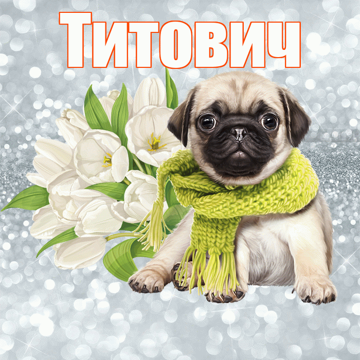 Титович! С добрым утром! Красивая открытка Титовичу!