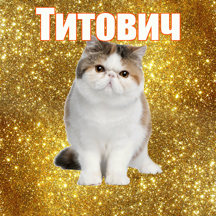 Титович! С добрым утром! Красивая открытка Титовичу!