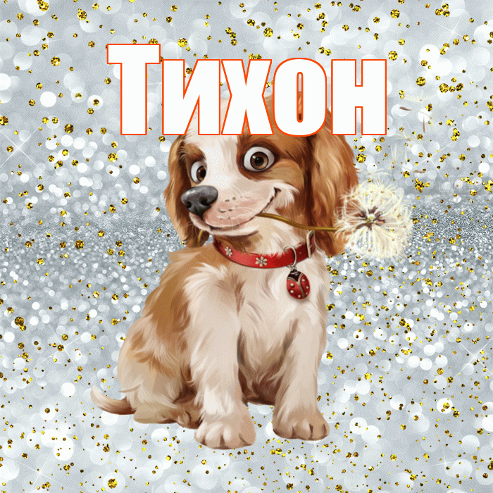 Тихон! С добрым утром! Красивая открытка Тихону!
