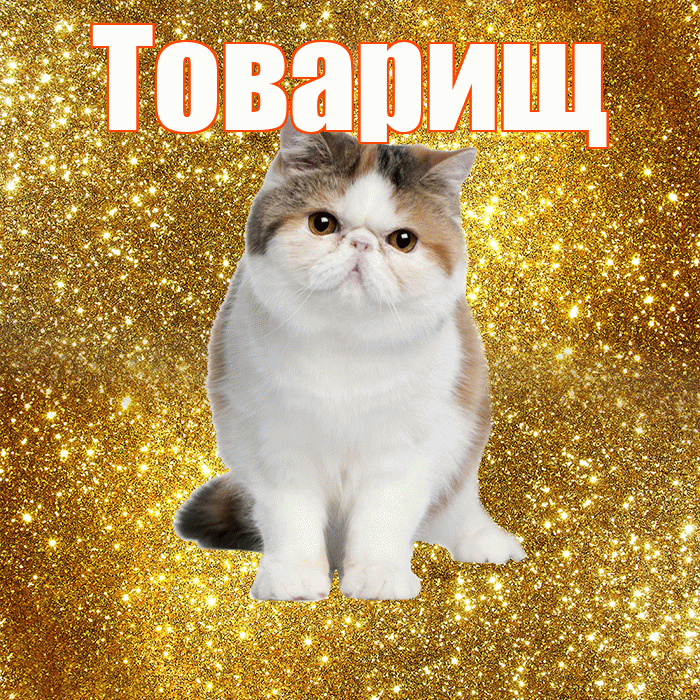 Товарищ! С добрым утром! Красивая открытка Товарищу!