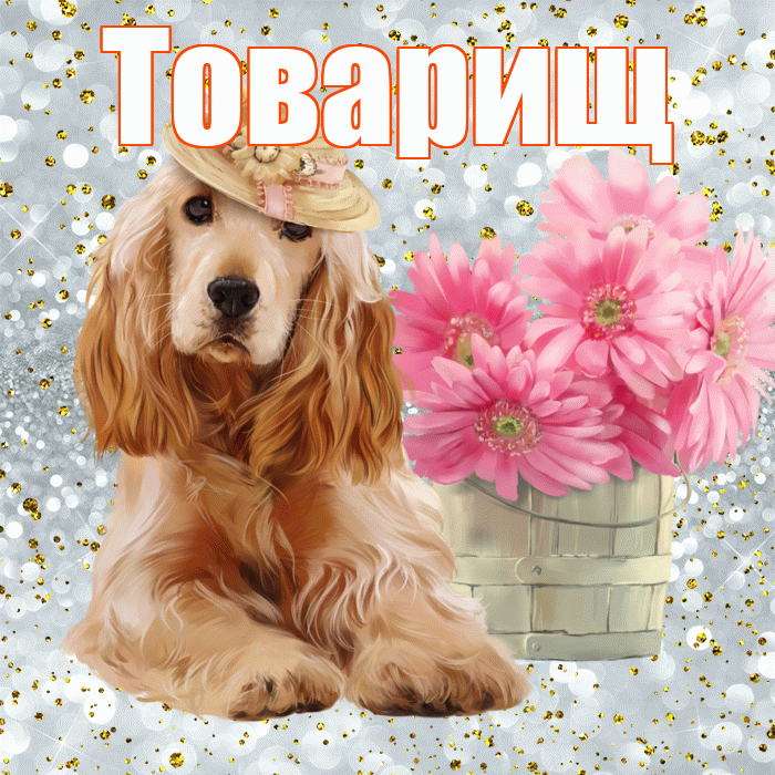Товарищ! С добрым утром! Красивая открытка Товарищу!