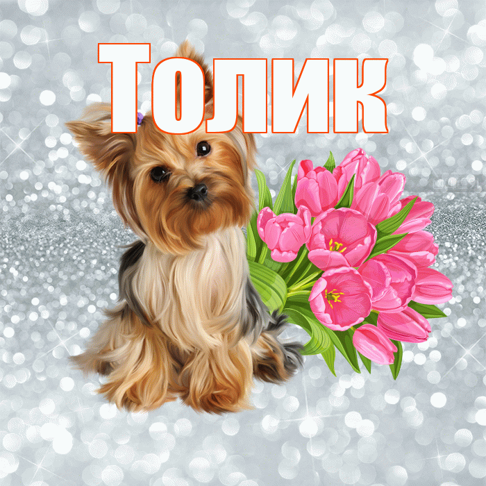 Толик! С добрым утром! Красивая открытка !