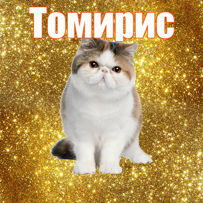 Томирис! С добрым утром! Красивая открытка Томирис!