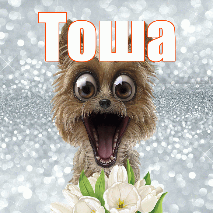 Тоша! С добрым утром! Красивая открытка !