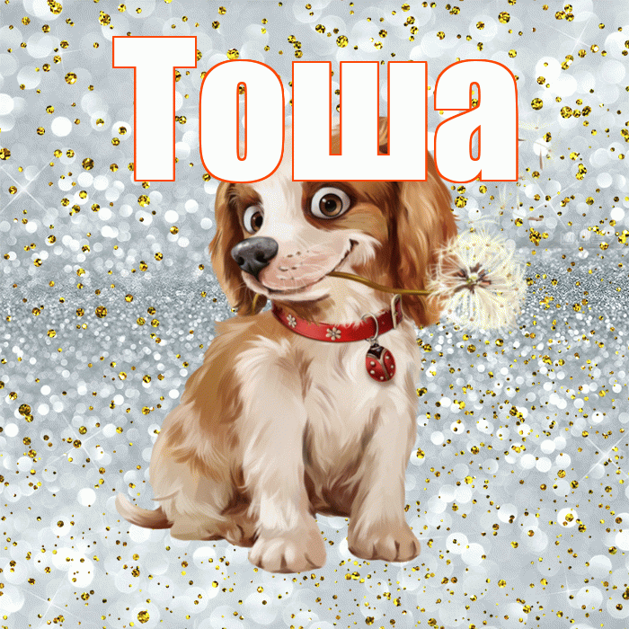 Тоша! С добрым утром! Красивая открытка !