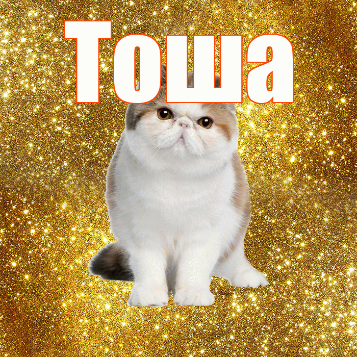 Тоша! С добрым утром! Красивая открытка !