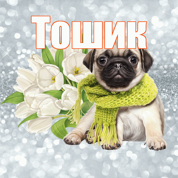 Тошик! С добрым утром! Красивая открытка !