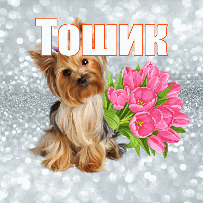 Тошик! С добрым утром! Красивая открытка !