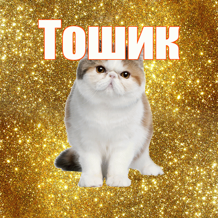 Тошик! С добрым утром! Красивая открытка !