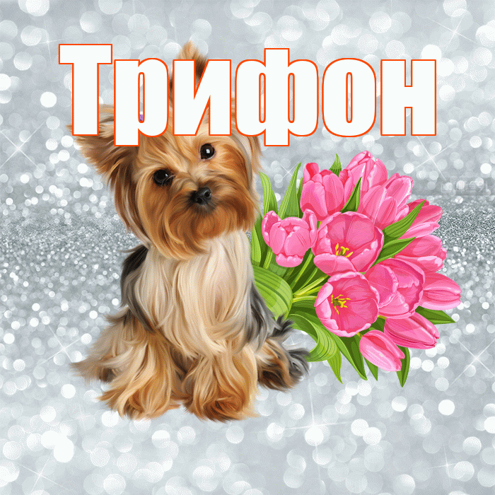 Трифон! С добрым утром! Красивая открытка Трифону!