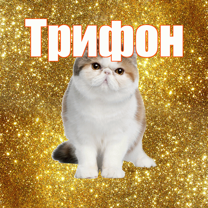 Трифон! С добрым утром! Красивая открытка Трифону!
