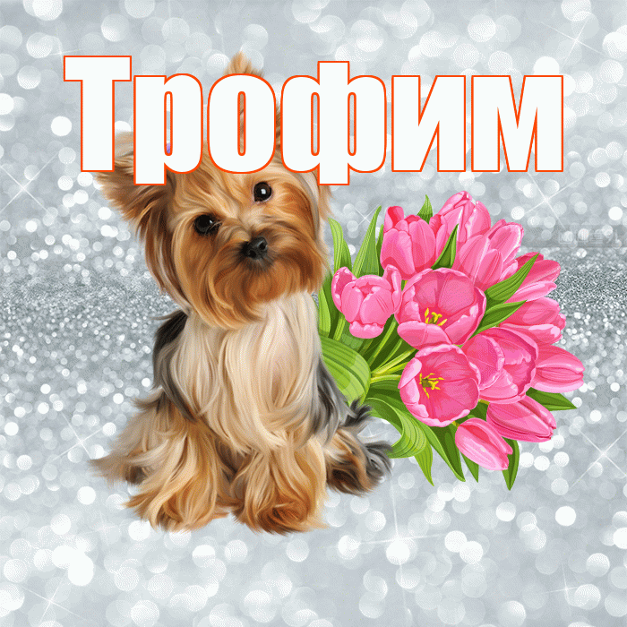 Трофим! С добрым утром! Красивая открытка Трофиму!