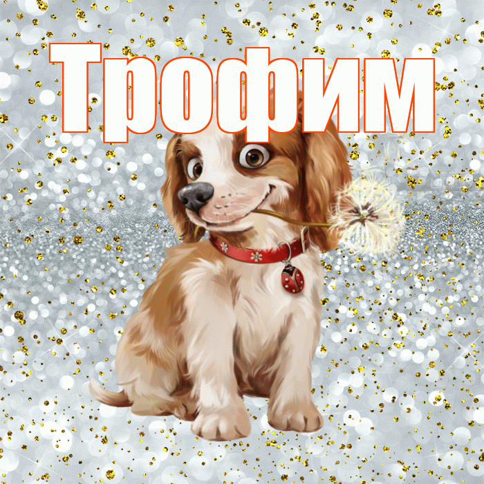 Трофим! С добрым утром! Красивая открытка Трофиму!