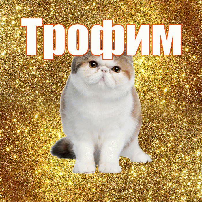 Трофим! С добрым утром! Красивая открытка Трофиму!
