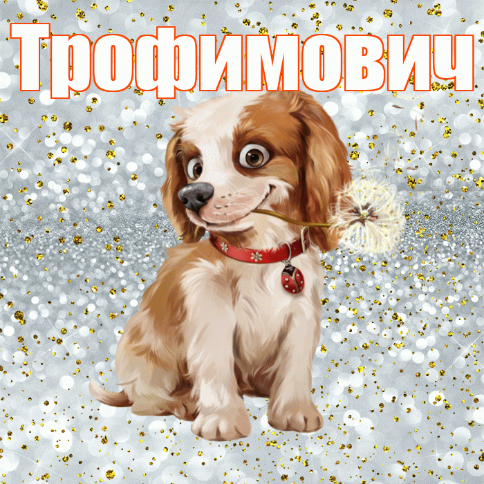 Трофимович! С добрым утром! Красивая открытка Трофимовичу!