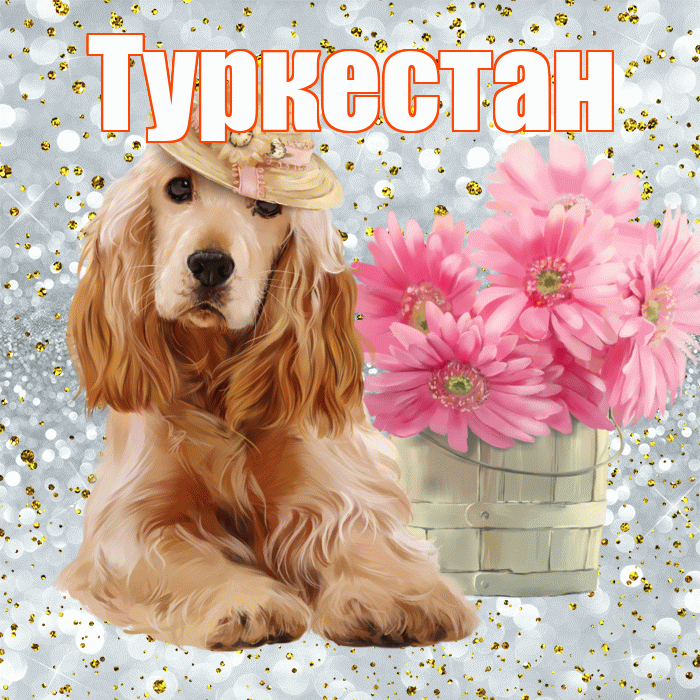 Туркестан! С добрым утром! Красивая открытка Туркестану!