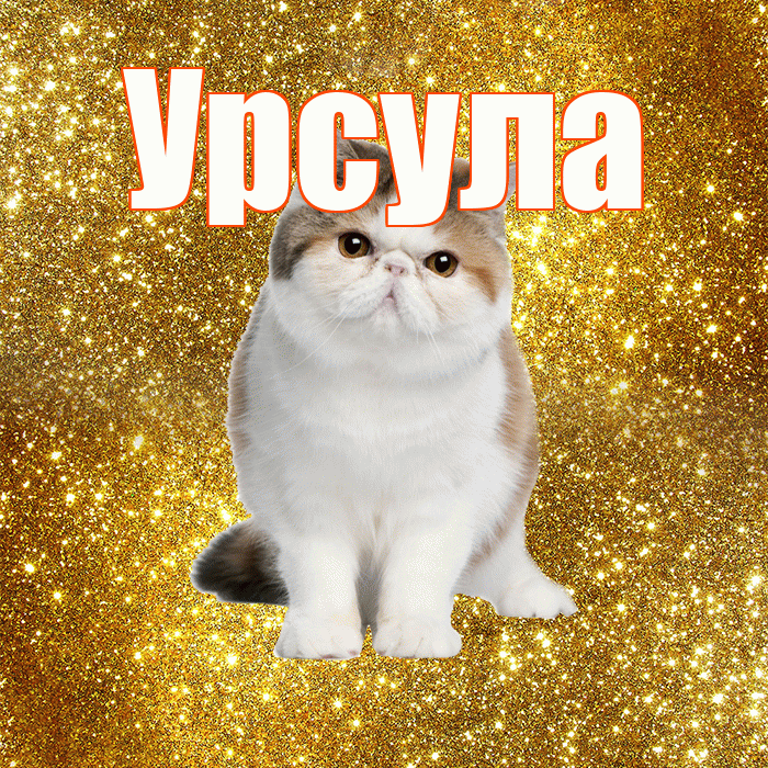 Урсула! С добрым утром! Красивая открытка Урсуле!