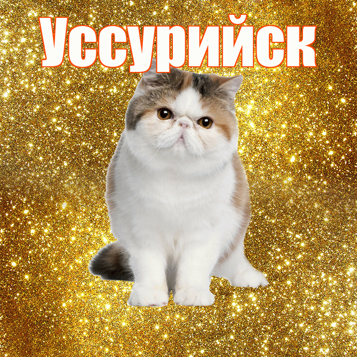 Уссурийск! С добрым утром! Красивая открытка Уссурийску!