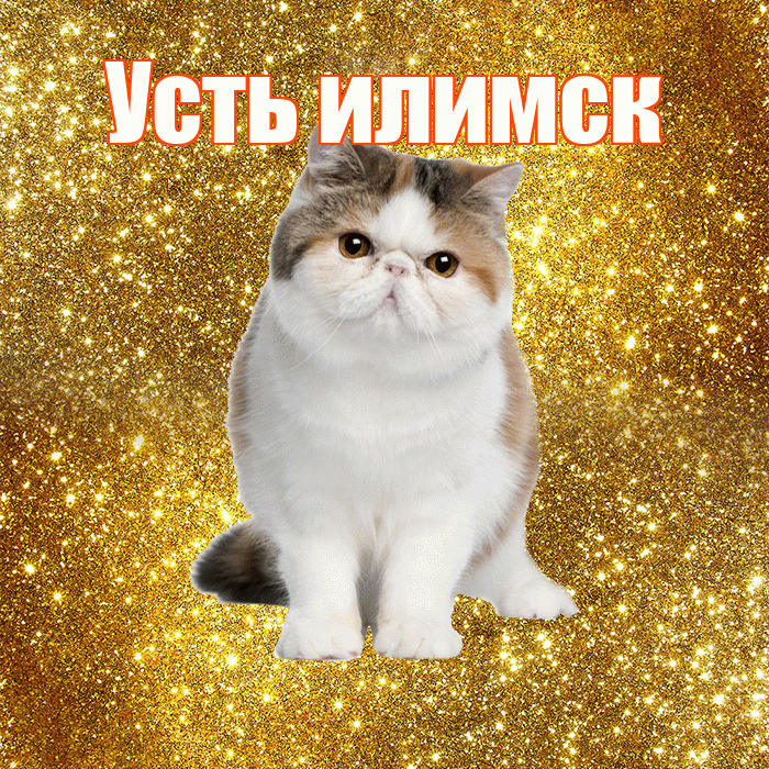 Усть илимск! С добрым утром! Красивая открытка !