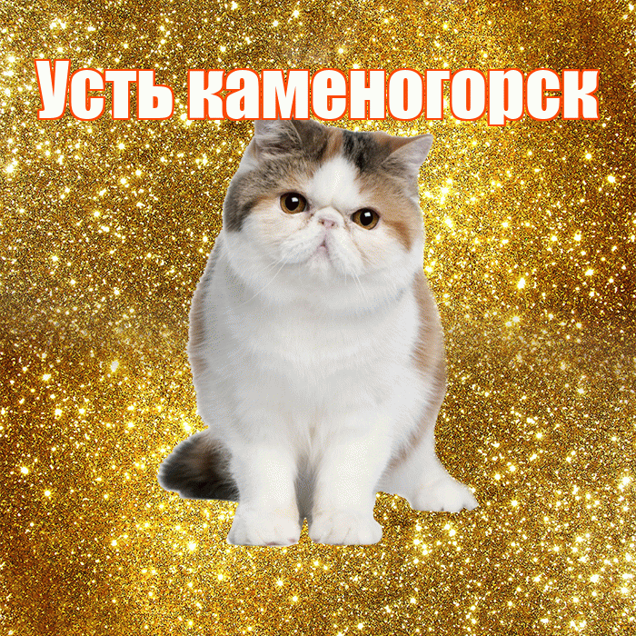 Усть каменогорск! С добрым утром! Красивая открытка !