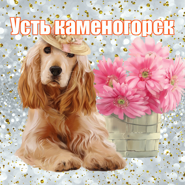 Усть каменогорск! С добрым утром! Красивая открытка !