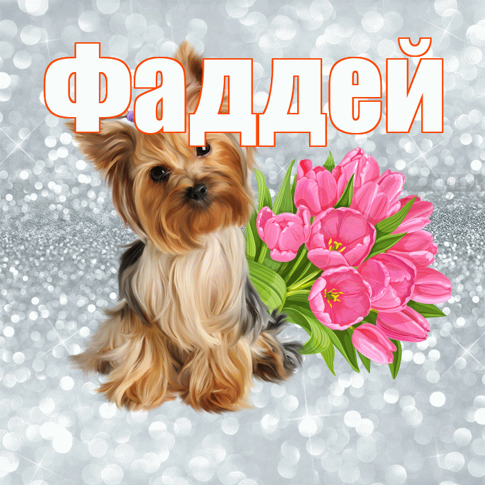 Фаддей! С добрым утром! Красивая открытка Фаддею!