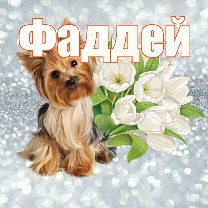 Фаддей! С добрым утром! Красивая открытка Фаддею!