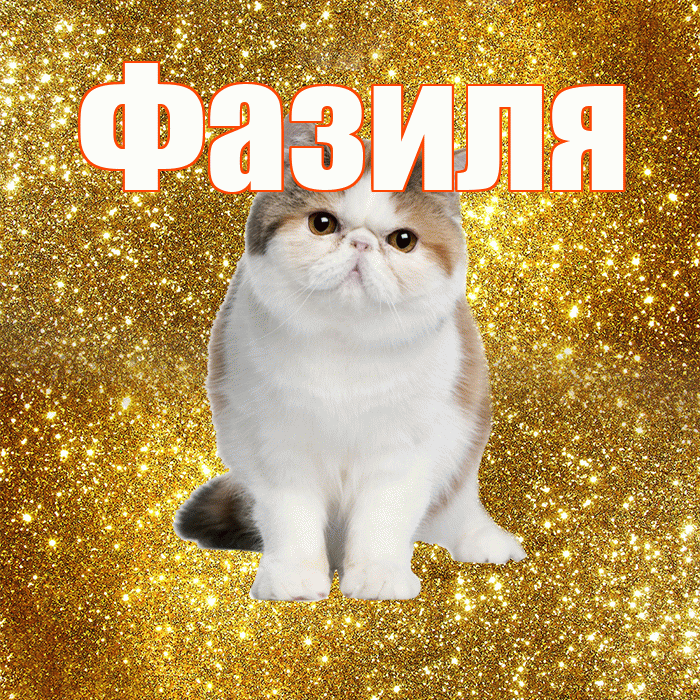 Фазиля! С добрым утром! Красивая открытка Фазиле!