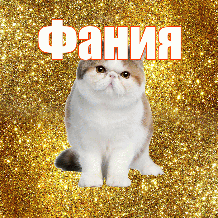 Фания! С добрым утром! Красивая открытка Фание!