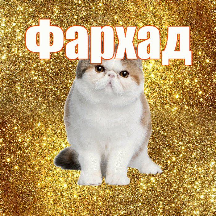 Фархад! С добрым утром! Красивая открытка Фархаду!