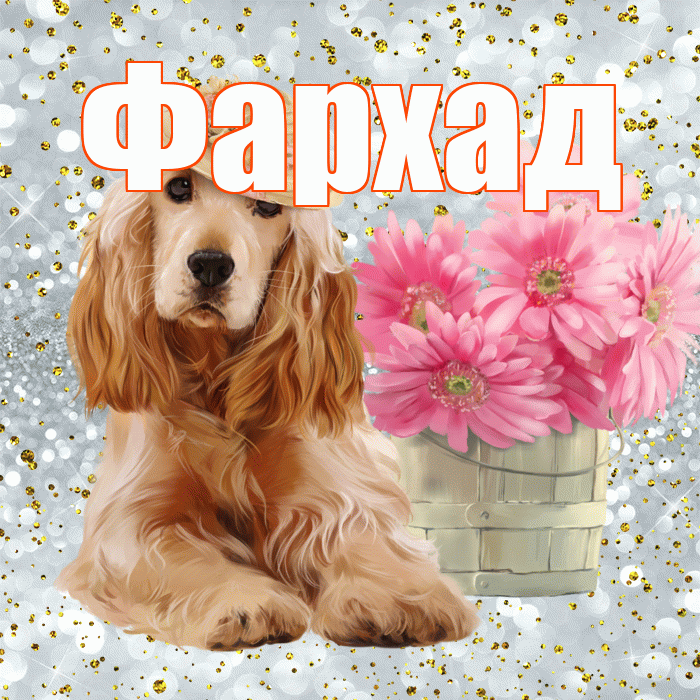 Фархад! С добрым утром! Красивая открытка Фархаду!