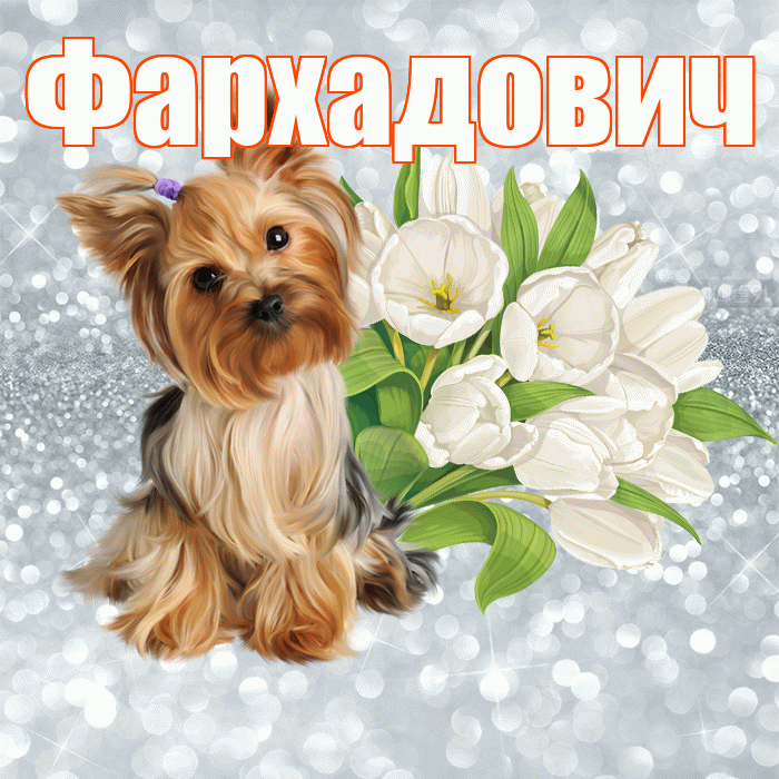 Фархадович! С добрым утром! Красивая открытка Фархадовичу!