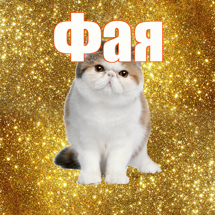 Фая! С добрым утром! Красивая открытка Фаю!