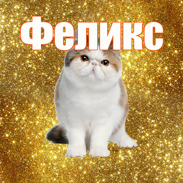 Феликс! С добрым утром! Красивая открытка Феликсу!