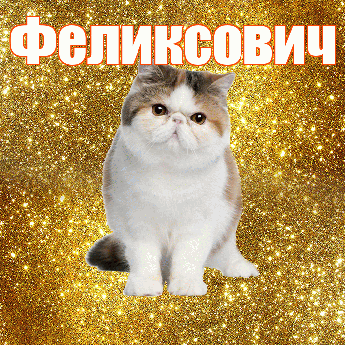 Феликсович! С добрым утром! Красивая открытка Феликсовичу!