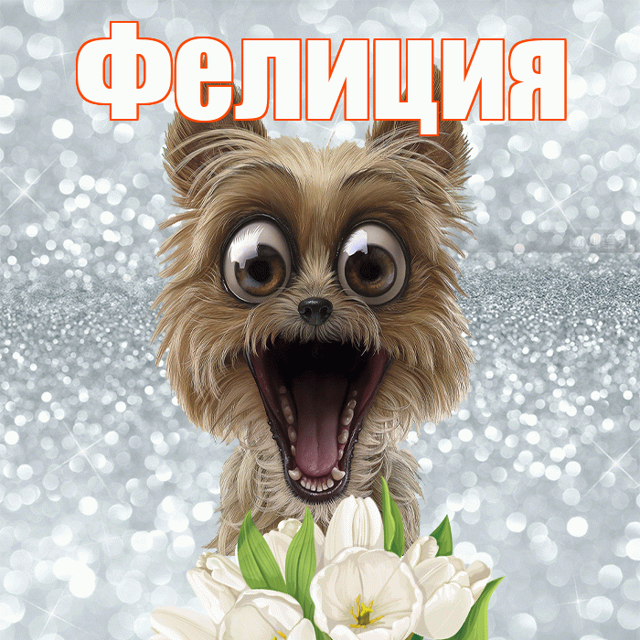 Фелиция! С добрым утром! Красивая открытка Фелиции!